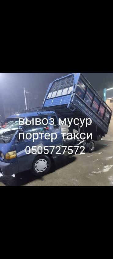 амуниция для собак: Вывоз мусора вывоз мусора вывоз мусора вывоз мусорка вывоз мусора