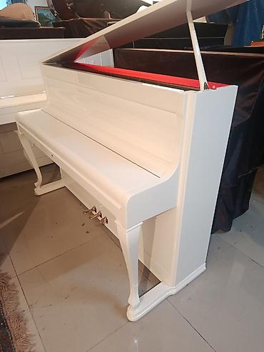 mekteb çanta: PETROF upright pianino – klassik Avropa səsi və müasir dizaynın — 8