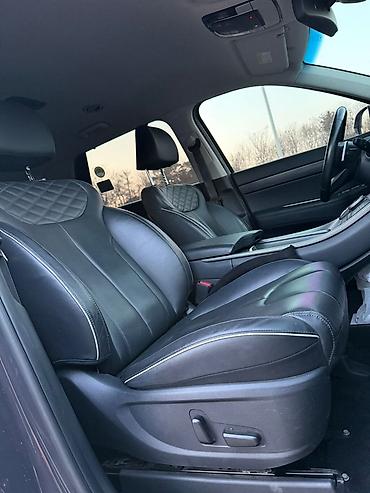 Hyundai: Hyundai Palisade: 2019 г., 2.2 л, Автомат, Бензин, Кроссовер — 21