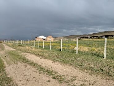 Сельхоз предприятия: Продаю Кошара, 50 соток, Действующий, Электричество, Канализация — 8