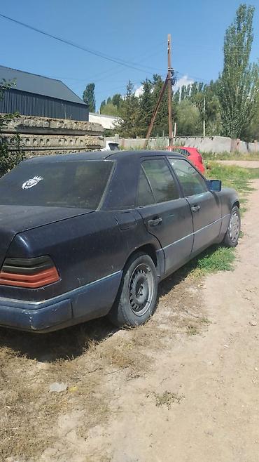 mersedes e class: Mercedes-Benz W124: 1991 г., 2.3 л, Механика, Дизель, Седан — 4