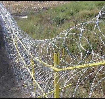молочай гулу: Колючая проволока Егоза СББ
Оптом и в розницу 
Прямо с завода — 5