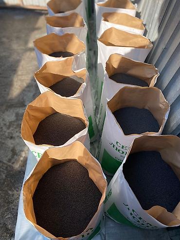 Кормовые растения: Семена кормовых растений: Эспарцет, Бесплатная доставка — 5