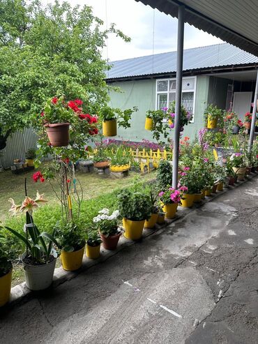 Günlük kirayə evlər: 180 kv. m, 2 otaqlı, Qaz, Su, İnternet -da lalafo.az — 9 Günlük kirayə evlər: 180 kv. m, 2 otaqlı, Qaz, Su, İnternet — 9