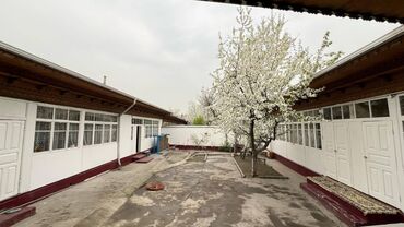 Долгосрочная аренда домов: 250 м², 8 комнат, Забор, огорожен — 10