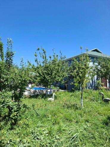 Günlük kirayə evlər: 100 kv. m, 4 otaqlı — 19