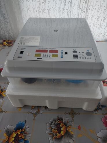 inkubator avadanliqlari: Tam avtomat