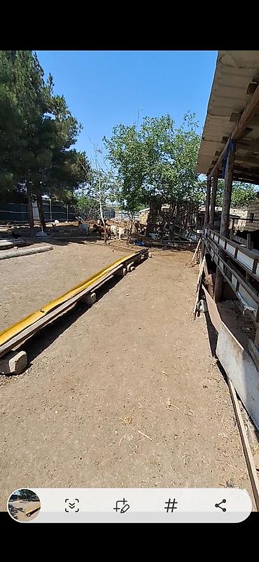 pulsuz elan yerləşdir: 15 sot, Tikinti, Mülkiyyətçi, Bələdiyyə — 4