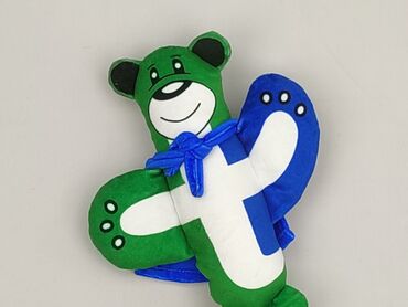 Mascot Teddy bear, condition - Very good