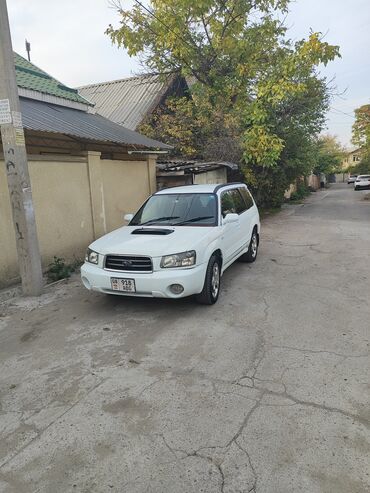 Subaru: Subaru Forester: 2003 г., 2 л, Автомат, Бензин, Универсал