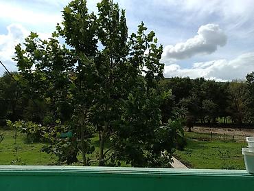 cıxarış nədir: 200 sot, Kənd təsərrüfatı, Mülkiyyətçi, Kupça (Çıxarış) — 6