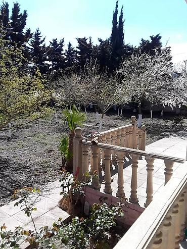 4 otaqlı ev certyojları: Muxtadır, 120 kv. m, 4 otaqlı, Hovuzsuz, Artezian quyusu, İnternet, Qaz — 3