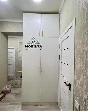 sfaner modelleri: Шкаф в прихожей, Новый, 2 двери, Распашной, Прямой шкаф, Азербайджан