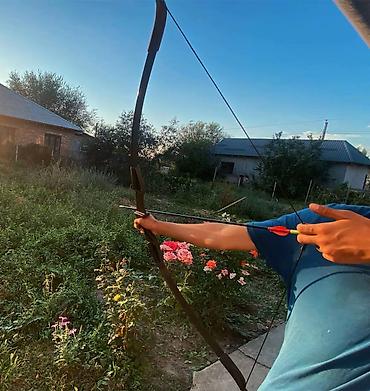 Охота и рыбалка: Классический разборный лук для стрельбы из лука + стрелы Сила — 3