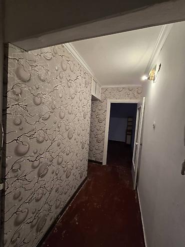 Продажа квартир: 2 комнаты, 43 м², 104 серия, 5 этаж, Косметический ремонт — 3