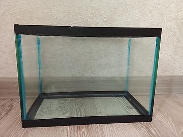 akvarium baku: Akvaryum dəsti - Şüşə akvaryum, düzbucaqlı forma, qara karkaslı — 3