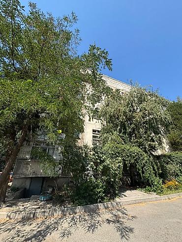 Продажа квартир: 2 комнаты, 52 м², Аламедин-1 мкр 105 серия, 3 этаж, Косметический ремонт at lalafo.kg — 17 Продажа квартир: 2 комнаты, 52 м², Аламедин-1 мкр 105 серия, 3 этаж, Косметический ремонт — 17