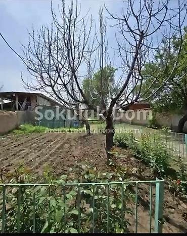Продажа коттеджей и домов: Дом с участком. - Планировка: несколько изолированных комнат с — 14