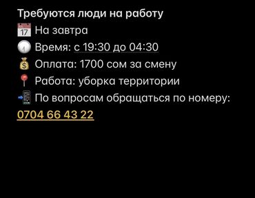 Уборка территории: Уборка территории, Уборка двора и сада