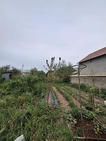 Үйлөр: Срочно! Срочно! Продается одноэтажный кирпичный дом100м2 с участком — 2