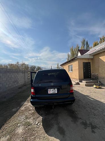 Mercedes-Benz: Mercedes-Benz M-Class: 2003 г., 3.2 л, Бензин, Внедорожник — 7