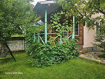 taxda evlər: 🌿 Qəbələdə Günlük Kirayə Bağ evi Etrafli melumat ucun Dm. Endirim — 6