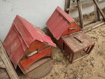 Yuvalar: It yuvasi bir ededi 20 az -da lalafo.az — 9 Yuvalar: It yuvasi bir ededi 20 az — 9