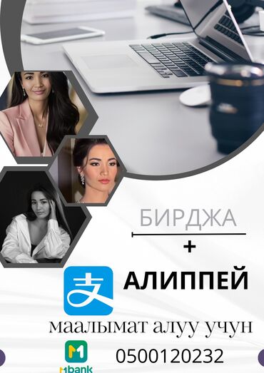 Разработка сайтов, приложений: Кытай сайты