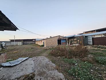 сары булун: Ижарага Ферма, 90 баш, 30 соток, Электр энергиясы, Ысык суу — 2