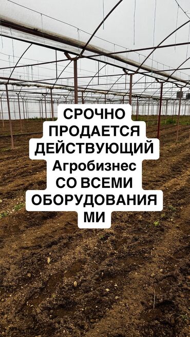 Продажа участков: 6 соток, Для бизнеса, Договор купли-продажи