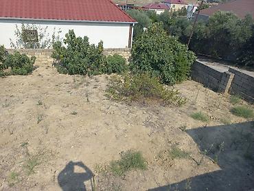 torpaq kreditle: 10 sot, Tikinti, Mülkiyyətçi, Kupça (Çıxarış) — 8