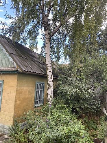 Продажа дачи: 5 комнат, 100 м², 10 соток, Холодная вода, Электричество at lalafo.kg — 15 Продажа дачи: 5 комнат, 100 м², 10 соток, Холодная вода, Электричество — 15