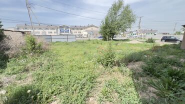 пол дом раб городок: Дом, 1 м², 2 комнаты, Собственник