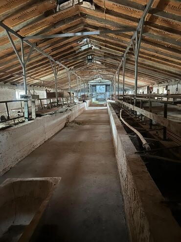 Продажа домов: Времянка, 400 м², 2 комнаты, Собственник — 14