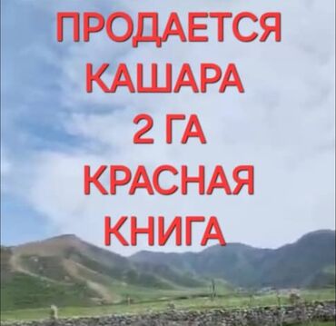 камок сатам: Продается кашара на 2 га земли. место прекрамное спокойное и