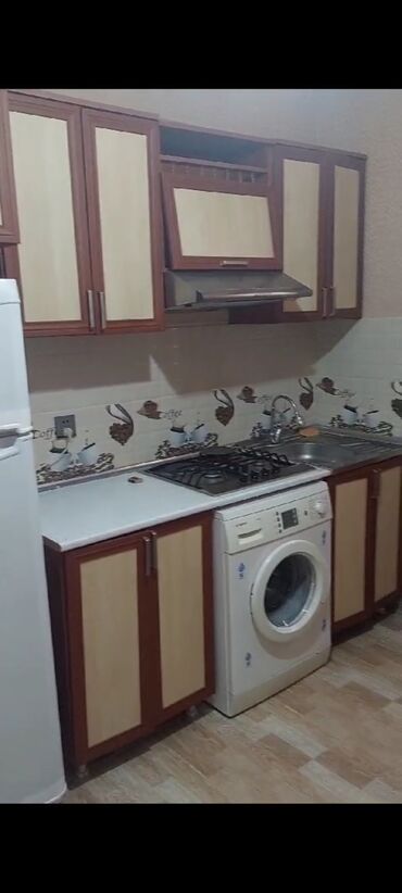 Uzunmüddətli kirayə evlər: 40 kv. m, 1 otaqlı, Kombi, Qaz, İşıq — 16