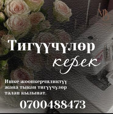 Швеи: Швея Универсал