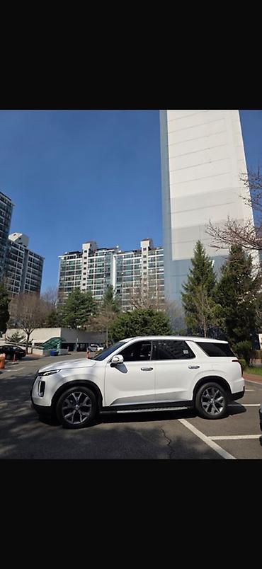 авто фышка: Hyundai Palisade: 2021 г., 2.2 л, Автомат, Дизель, Кроссовер — 2