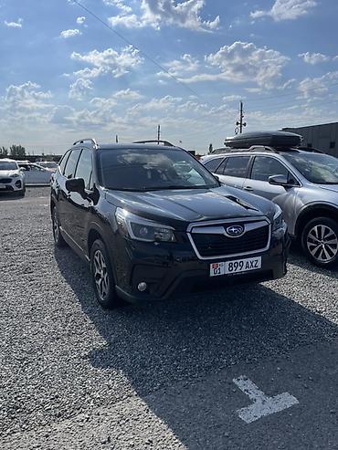 subaru forester: Subaru Forester: 2020 г., 2.5 л, Вариатор, Бензин, Кроссовер — 2