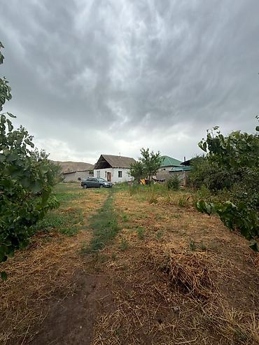 60: 8 соток, Для строительства, Договор купли-продажи, Тех паспорт — 4