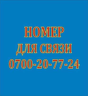 Другие аксессуары для салона: Неодимовые магниты. Разного размера и формы. Образцы на фото, линейка — 12