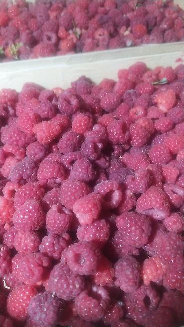 Клубника: Клубника — 18