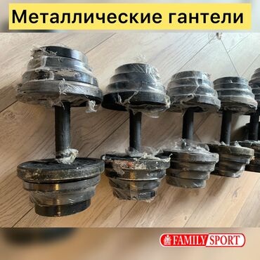 цены на тренажеры: FAMILY SPORT Идеальный турник kg Гантель ☑️ Разборный ☑️