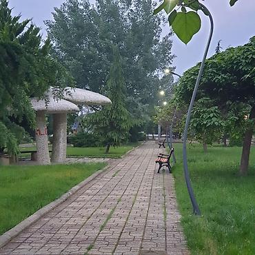 Yeni tikili: 4 otaqlı, Yeni tikili, 100 kv. m — 20
