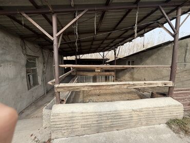 Куплю дом: Дом на отдельном участке с капитальным забором и откатными воротами — 11