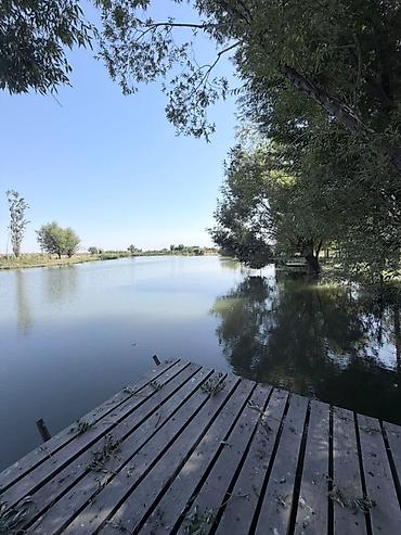 кошар: 250 соток Для бизнеса, Водопровод, Электричество — 6