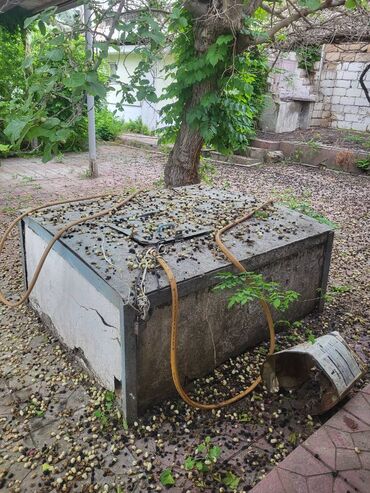 Bağ evlərinin satışı: Bakı, Bilgəh qəs., 200 kv. m, 6 otaqlı, Hovuzsuz, Artezian quyusu, Kanalizasiya, Qaz -da lalafo.az — 19 Bağ evlərinin satışı: Bakı, Bilgəh qəs., 200 kv. m, 6 otaqlı, Hovuzsuz, Artezian quyusu, Kanalizasiya, Qaz — 19