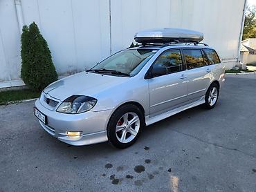 лант крузер: Toyota Corolla: 2003 г., 1.8 л, Автомат, Бензин, Универсал — 1