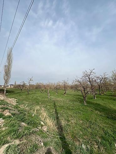 106: 1 комната, 54 м², Кок-Жар ж/м 106 серия улучшенная, 6 этаж, ПСО (под самоотделку) — 4
