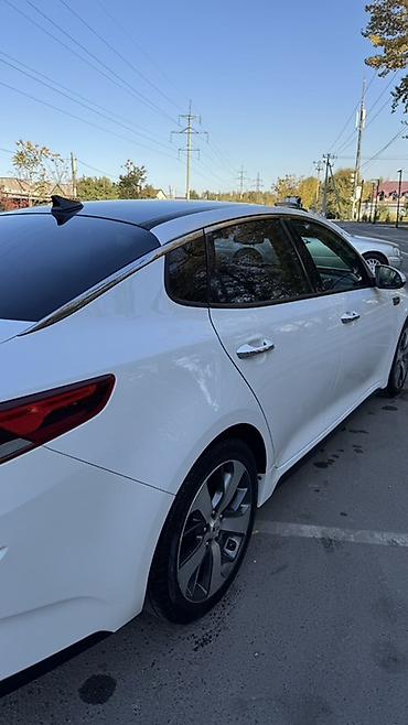 аренда kia optima: Kia Optima: 2018 г., 2.4 л, Автомат, Бензин, Седан — 3